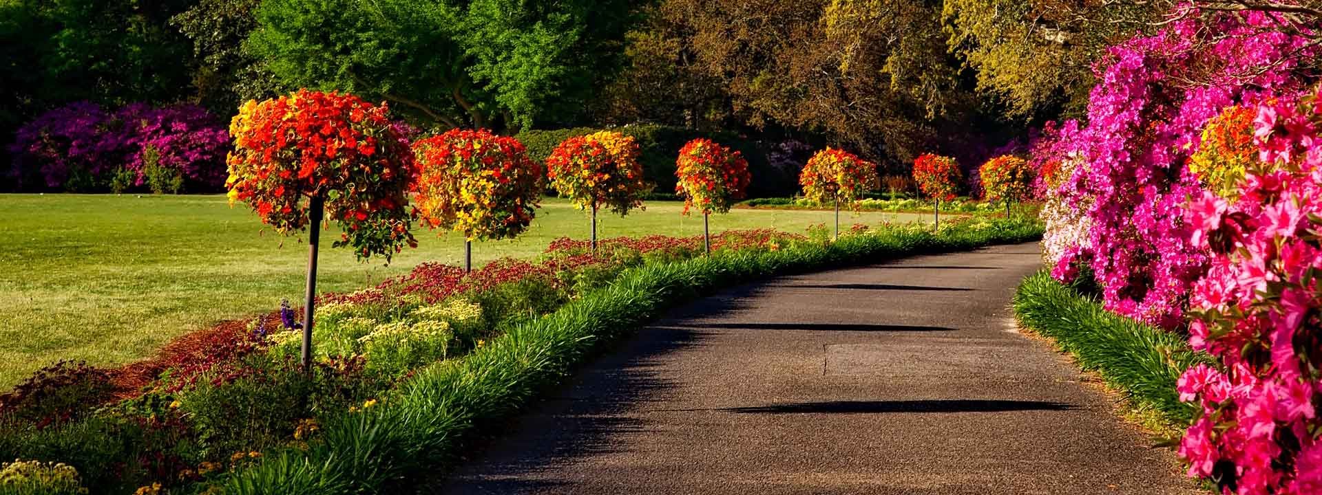 Plantez vos arbres et arbustes en automne