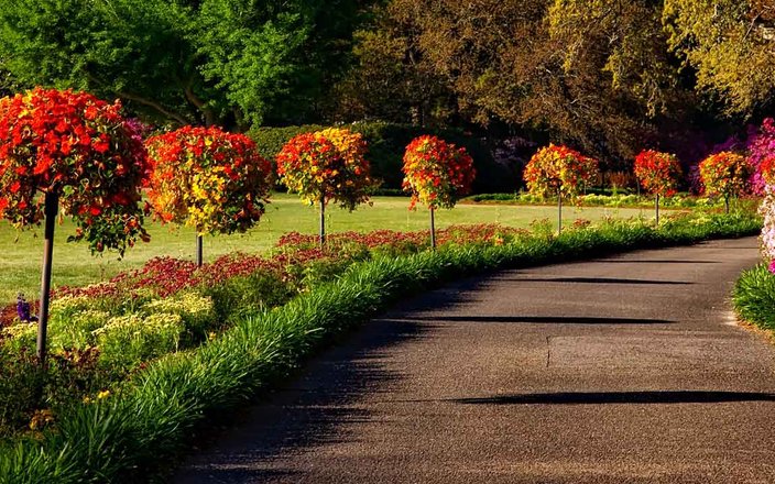 Plantez vos arbres et arbustes en automne