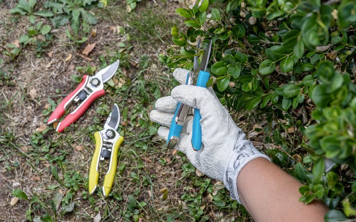 Jardinage | Pots, outils, engrais & terreaux, tout le nécessaire pour votre jardin