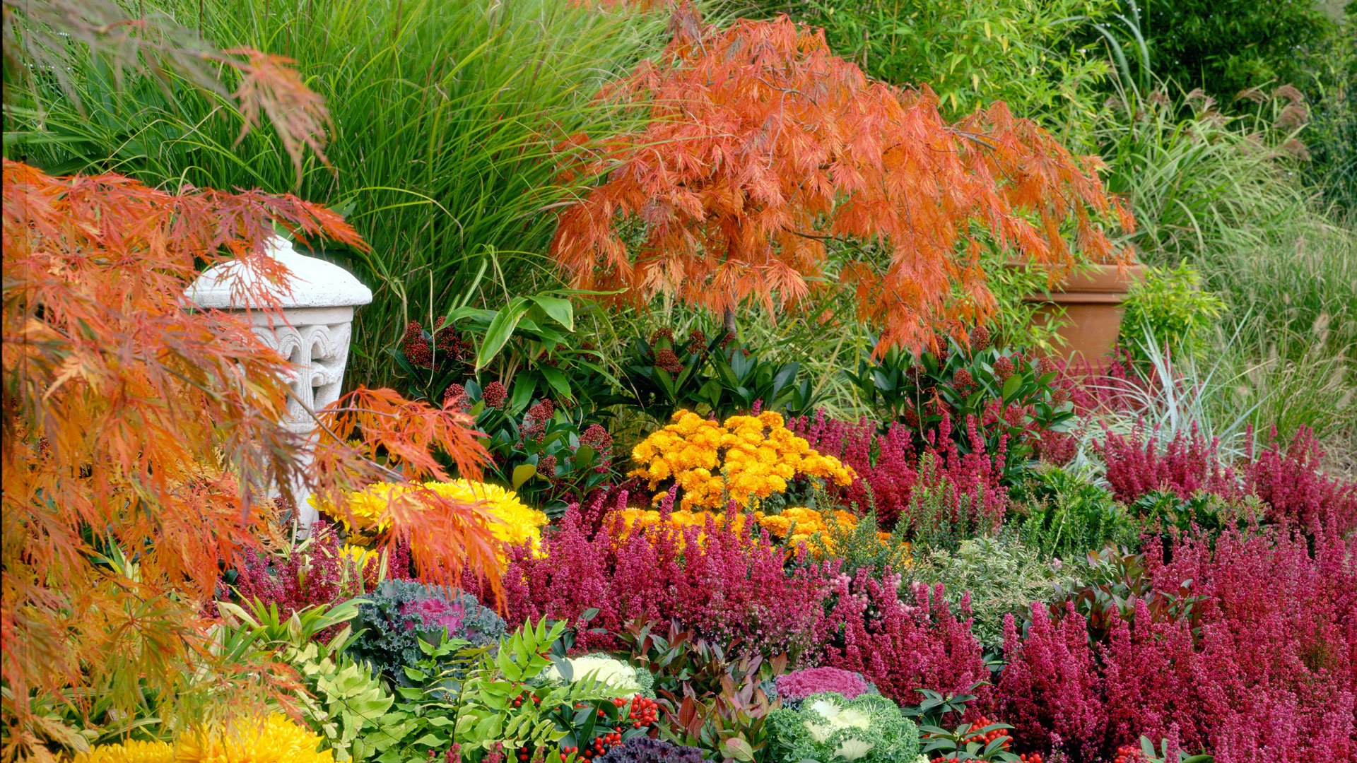 Festival de l'Automne