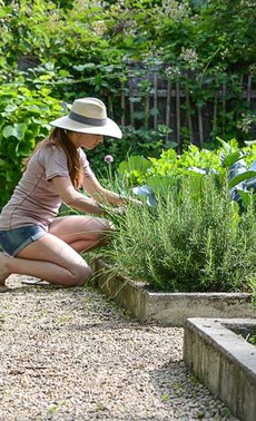 Les conseils de nos spécialistes pour créer votre potager

 