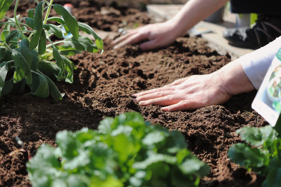 Jardin - Blog - Nettoyer - Rafraichir - Jardin - Conseils