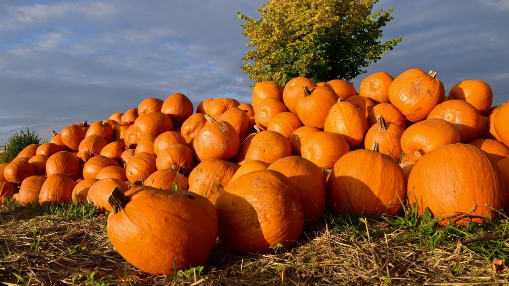 Festival de l'Automne: place au végétal