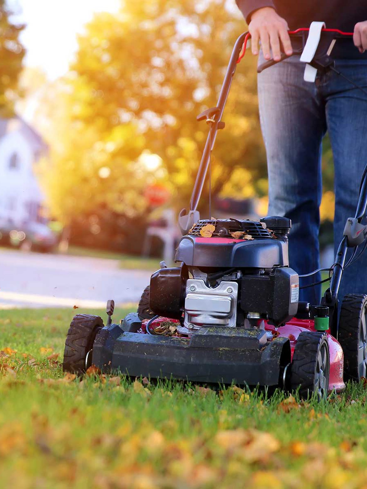 Tondeuse pour préparer le jardin pour l'hiver