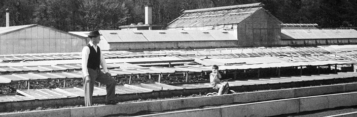 Schilliger, l’horticulteur du beau depuis 1945