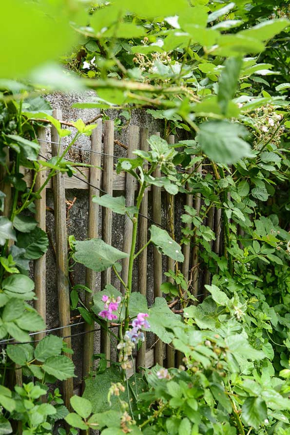 Bordure jardin