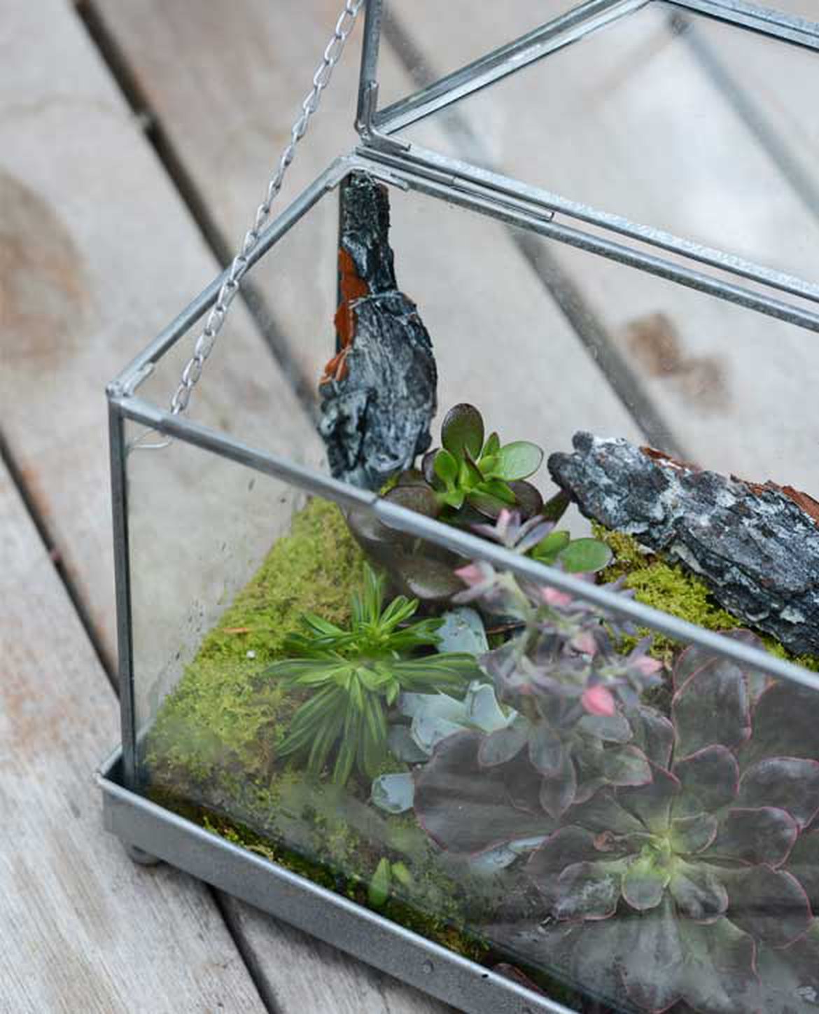 Mini jardin ou mini serre pour intérieur