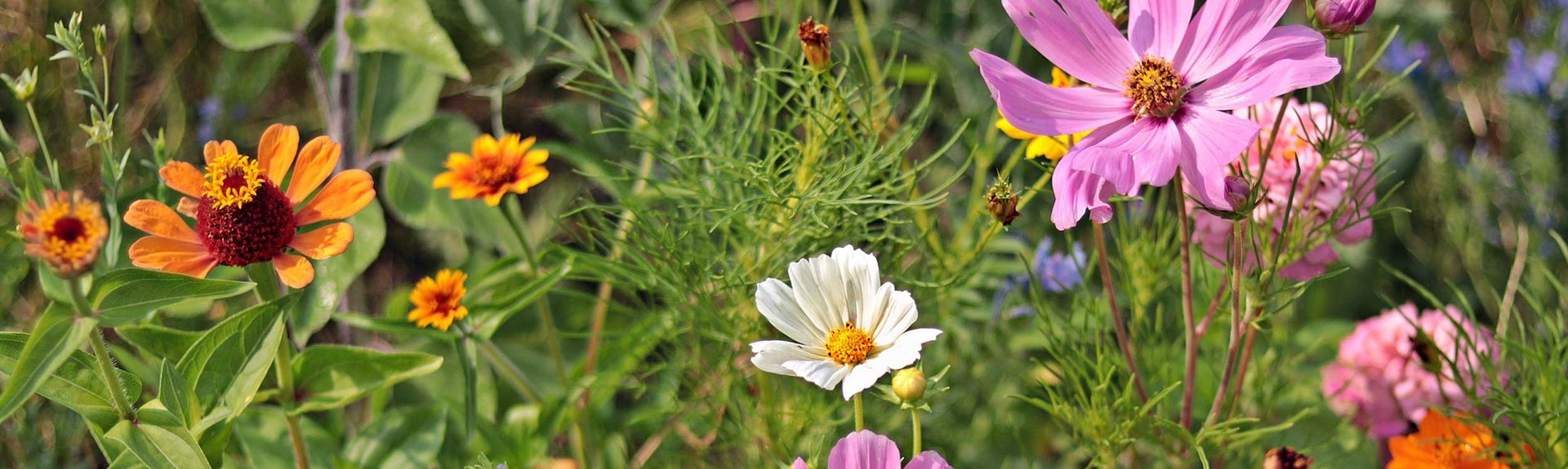 Calendrier jardinier