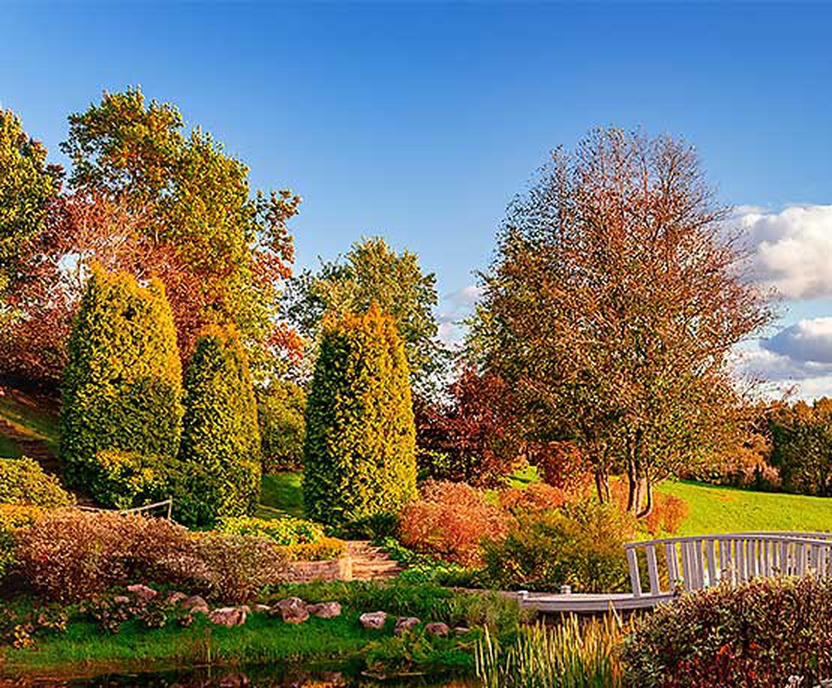 Jardin en automne