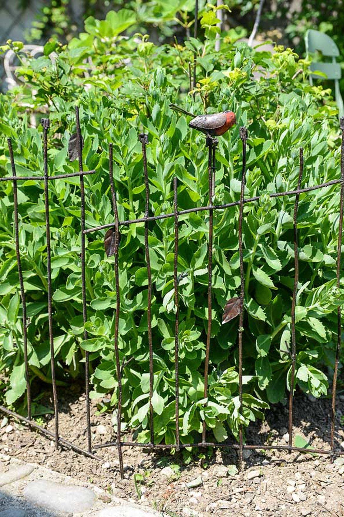 Bordure jardin