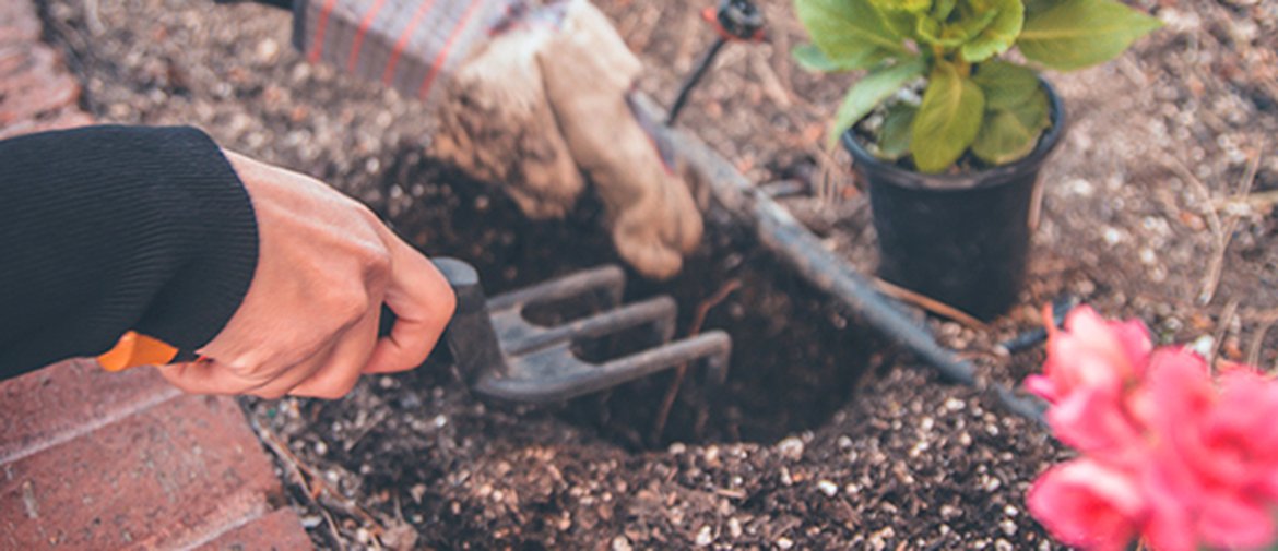 Quand planter