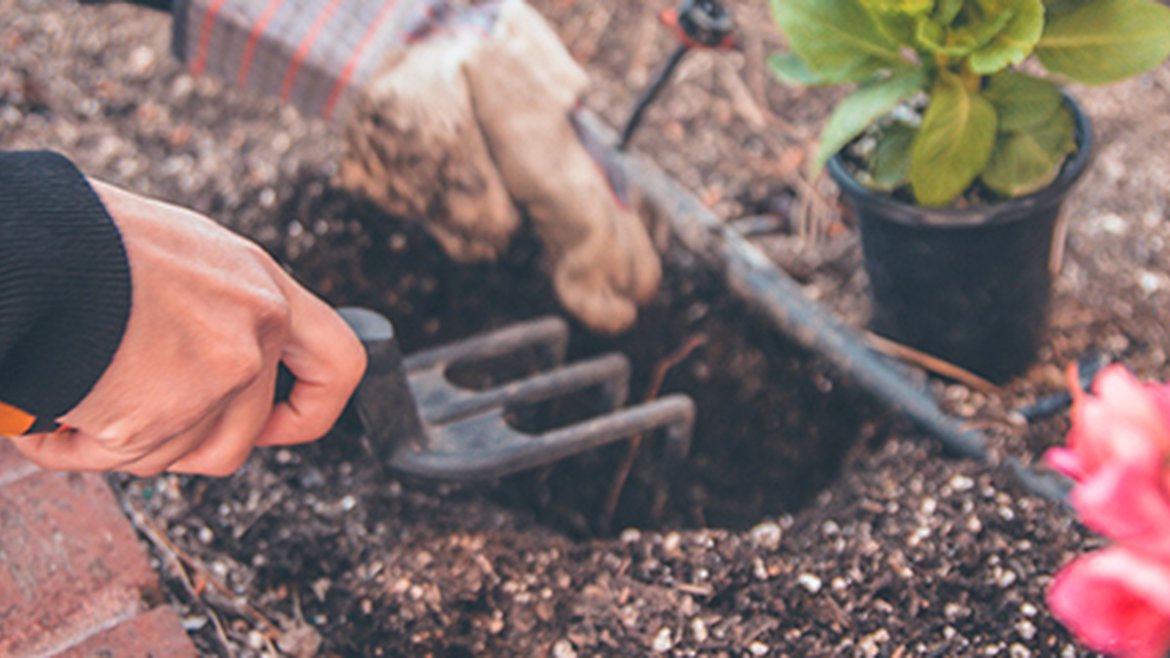 Quand planter